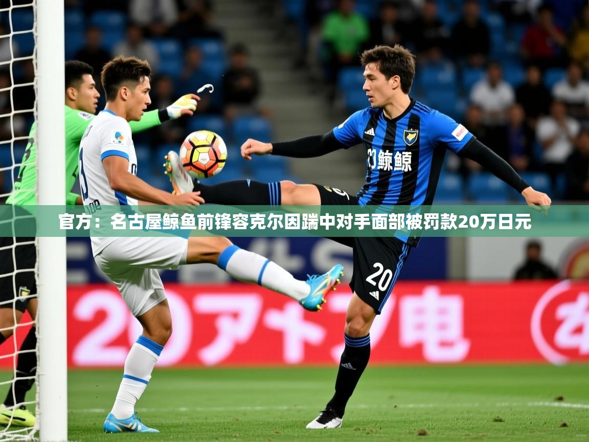 2025火狐体育网页版登录官方：名古屋鲸鱼前锋容克尔因踹中对手面部被罚款20万日元  第1张