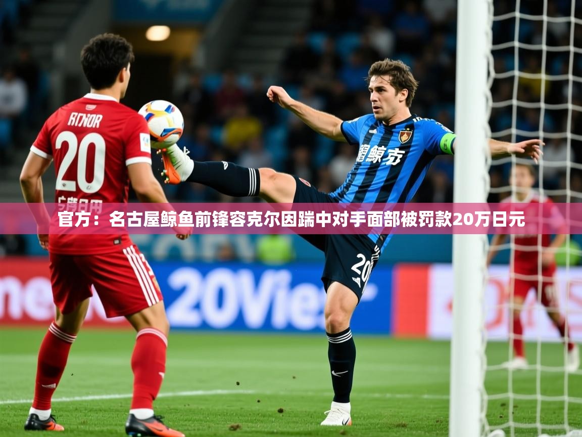 2025火狐体育网页版登录官方：名古屋鲸鱼前锋容克尔因踹中对手面部被罚款20万日元  第3张