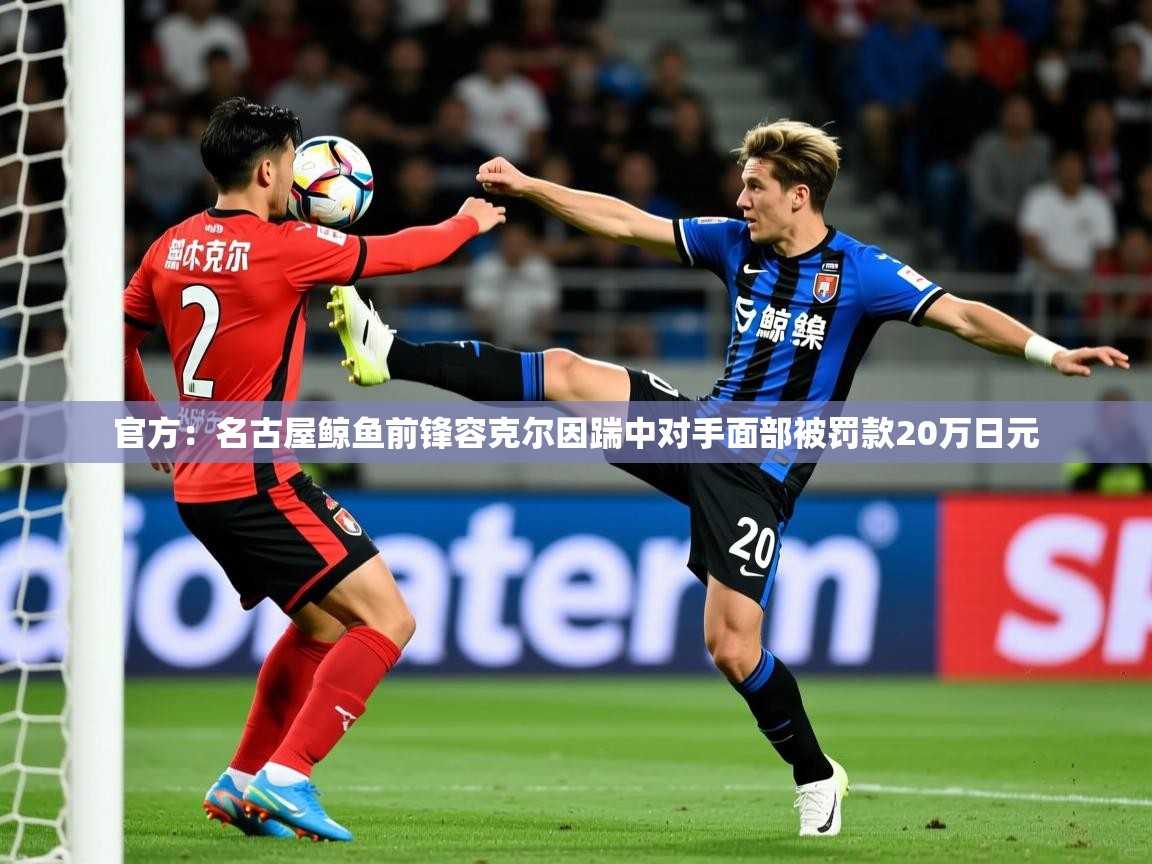 2025火狐体育网页版登录官方：名古屋鲸鱼前锋容克尔因踹中对手面部被罚款20万日元  第4张