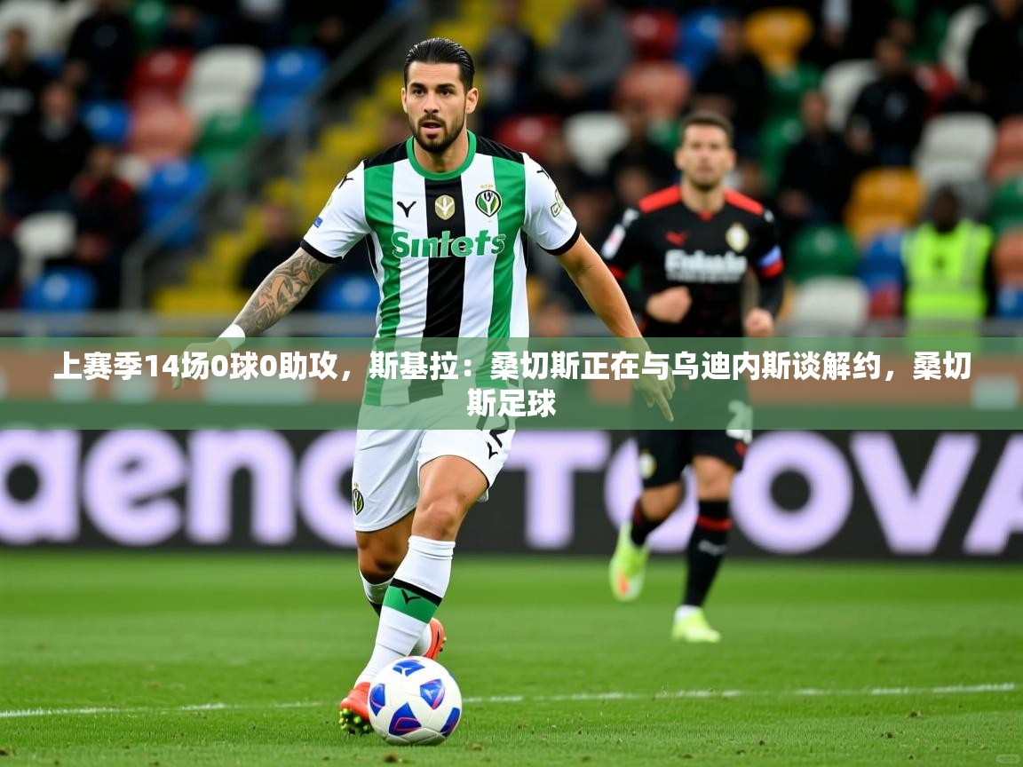 2025火狐体育app上赛季14场0球0助攻，斯基拉：桑切斯正在与乌迪内斯谈解约，桑切斯足球  第1张