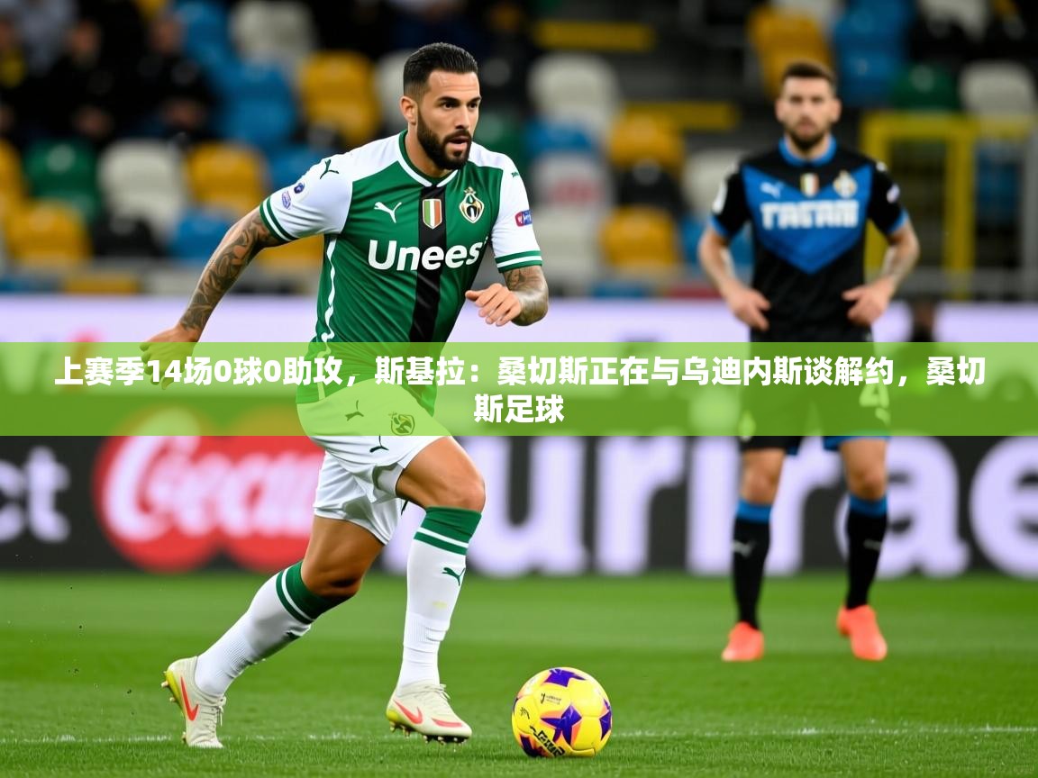 2025火狐体育app上赛季14场0球0助攻，斯基拉：桑切斯正在与乌迪内斯谈解约，桑切斯足球  第2张
