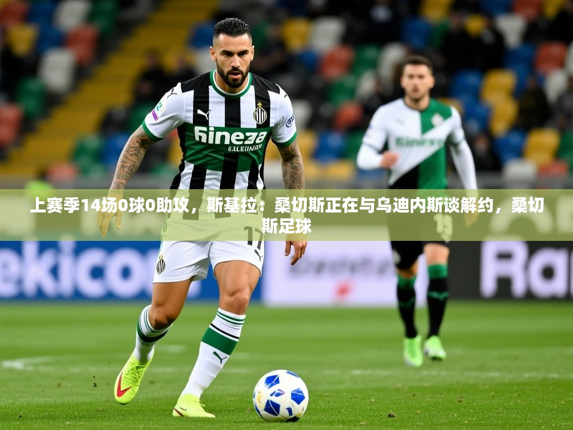 2025火狐体育app上赛季14场0球0助攻，斯基拉：桑切斯正在与乌迪内斯谈解约，桑切斯足球  第3张