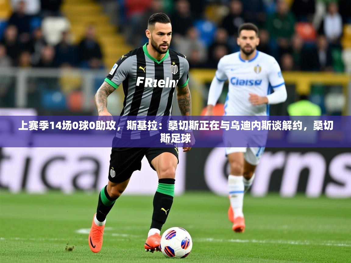 2025火狐体育app上赛季14场0球0助攻，斯基拉：桑切斯正在与乌迪内斯谈解约，桑切斯足球  第4张