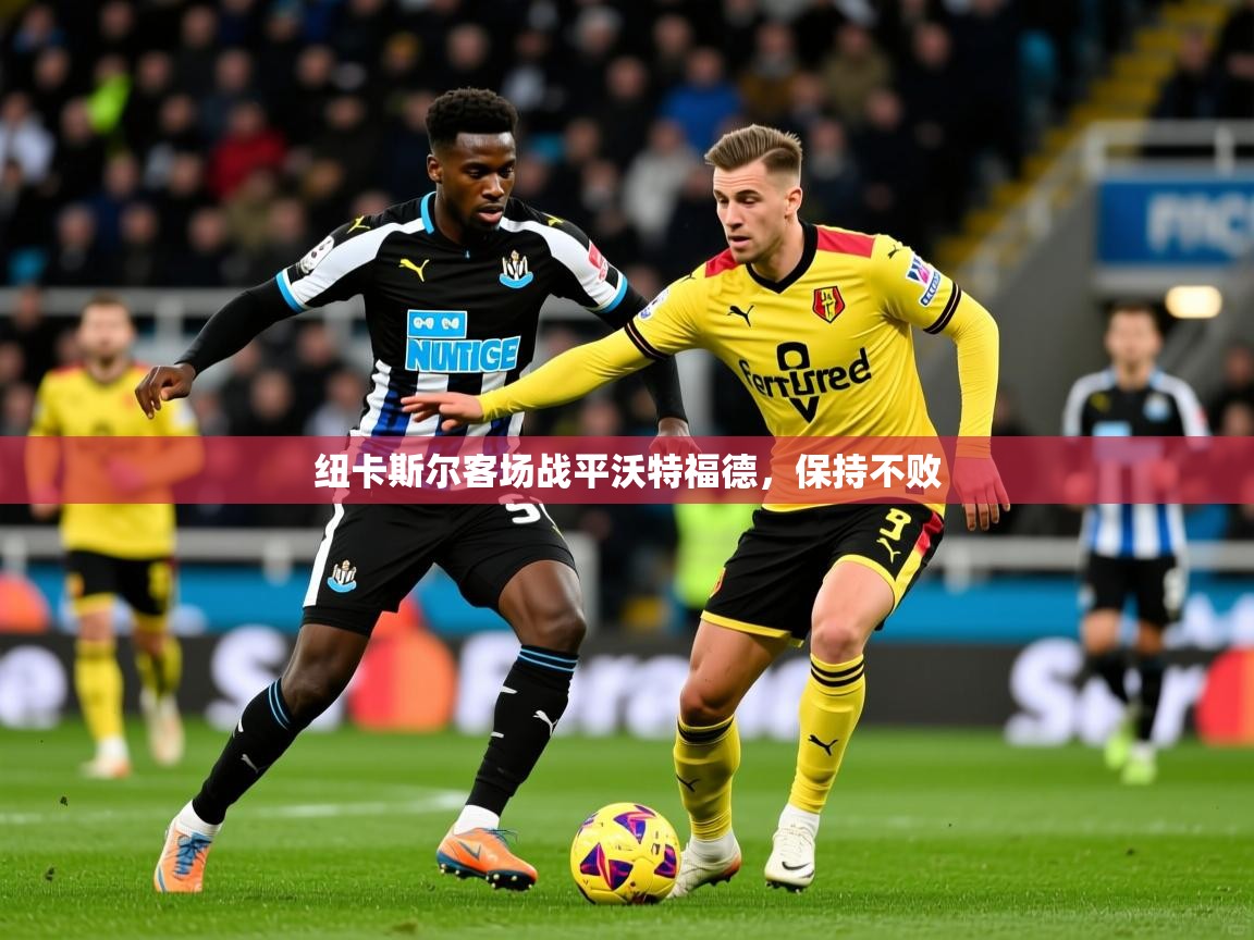 2026火狐体育网页版纽卡斯尔客场战平沃特福德，保持不败  第3张