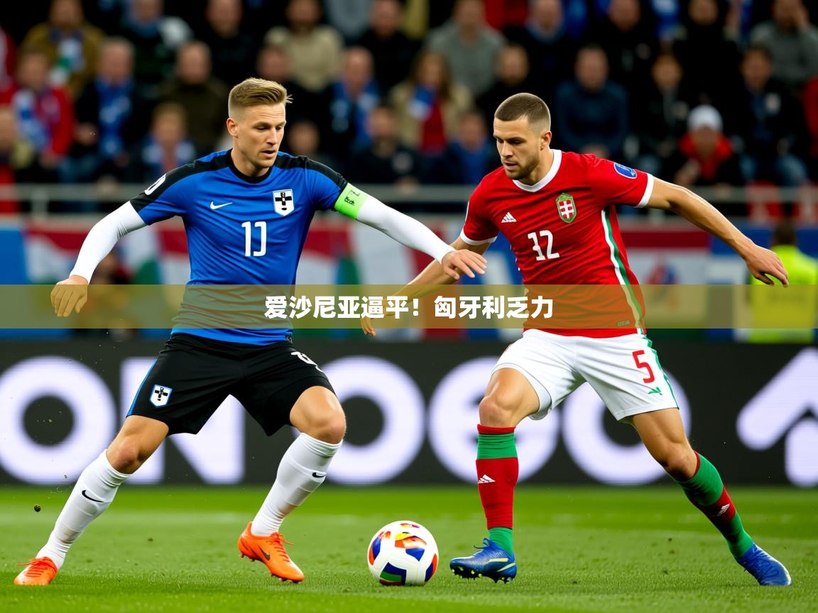 2026火狐体育下载爱沙尼亚逼平!匈牙利乏力 第2张